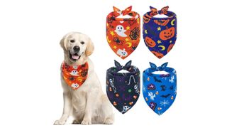 Best halloween dog costumes: EXPAWLORER Halloween Dog Bandana Bibs