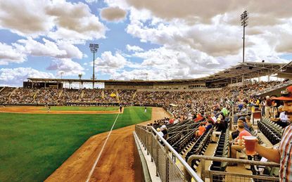 Watch a Professional Baseball Team During Spring Training