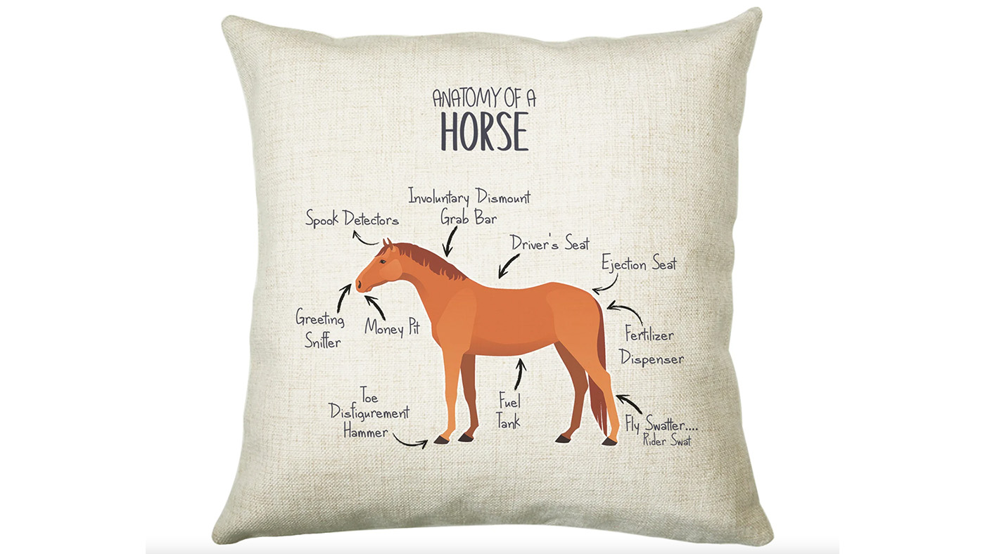 Horse Anatomy Cushion