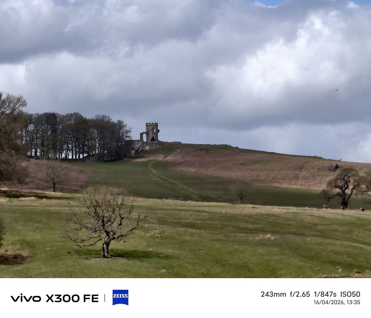 Photo samples from the Vivo X300 FE phone