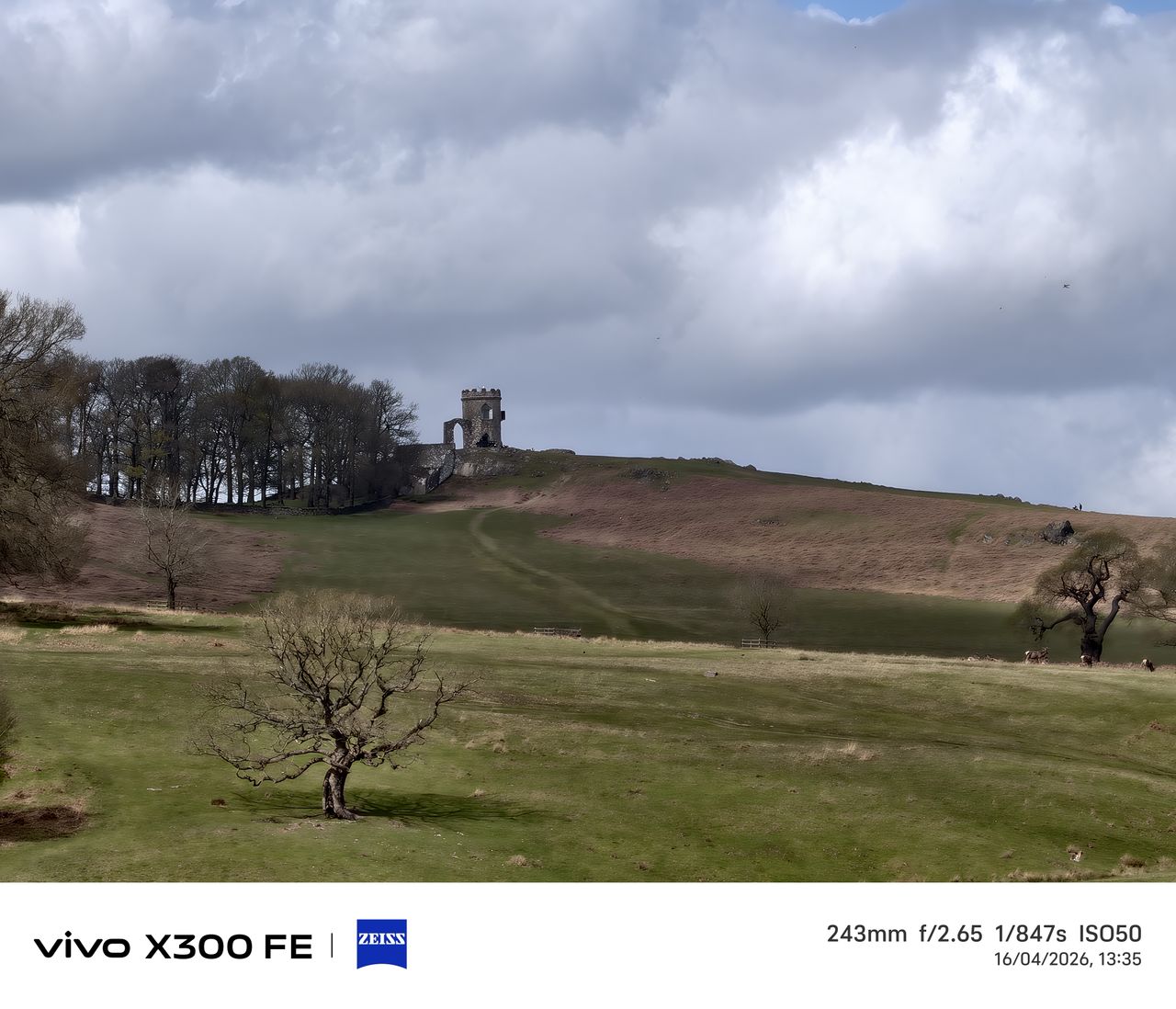 Photo samples from the Vivo X300 FE phone