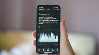 Strava Athlete Intelligence feature