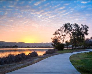 A lone goose in the path by lake at sunrise in central park, Fremont, California.