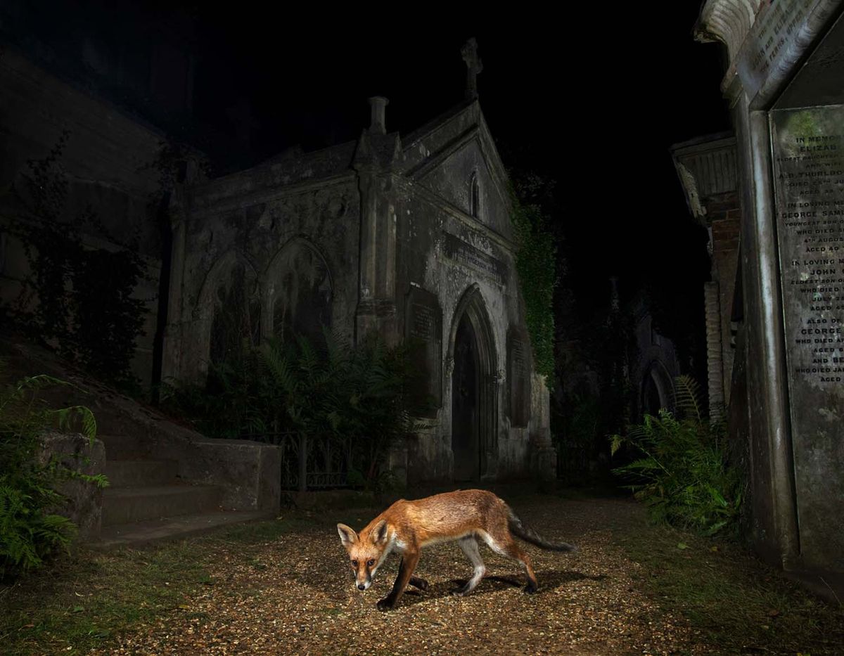 European Wildlife Photographer of the Year 2022