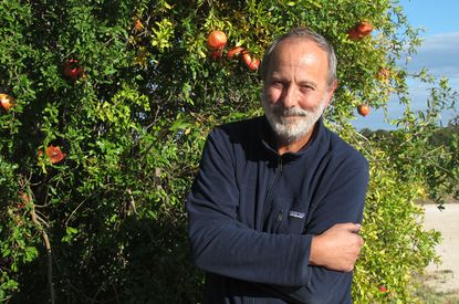 Vieille Julienne R&eacute;serv&eacute;
