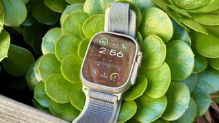 The Apple Watch Ultra 2 sitting on a plant