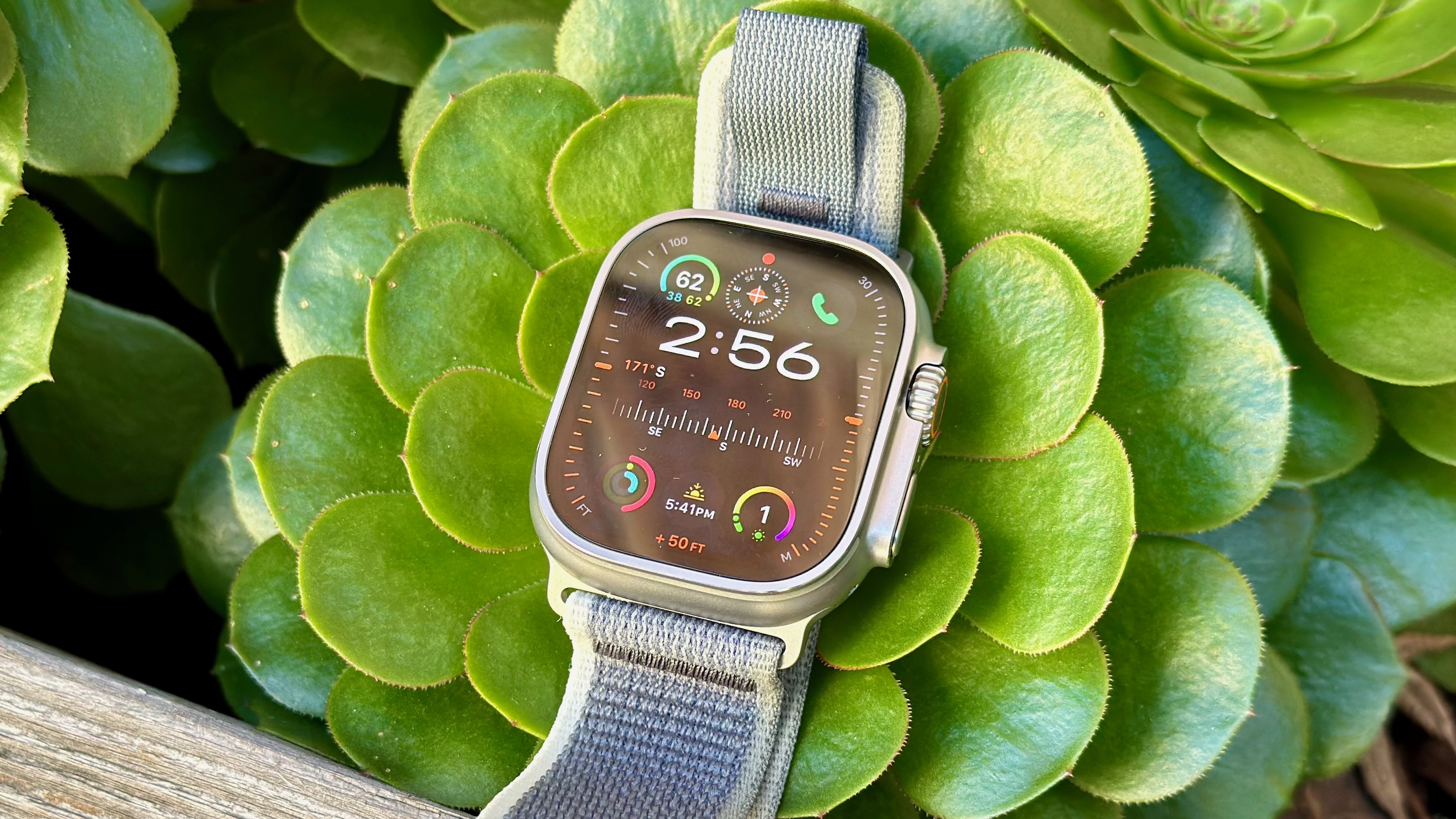 The Apple Watch Ultra 2 sitting on a plant