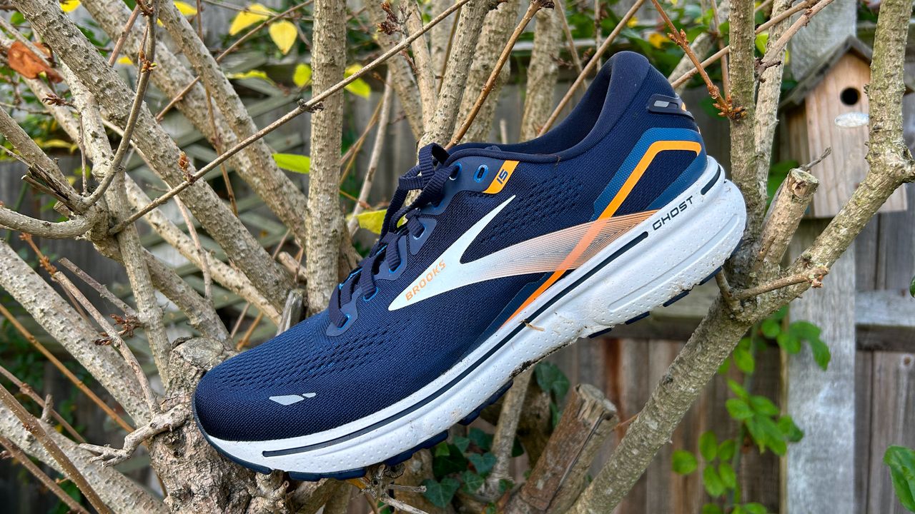 Brooks Ghost 15 shoe in a bush