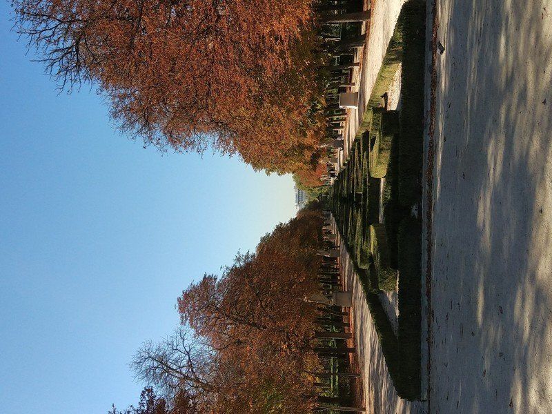 Sample photo
