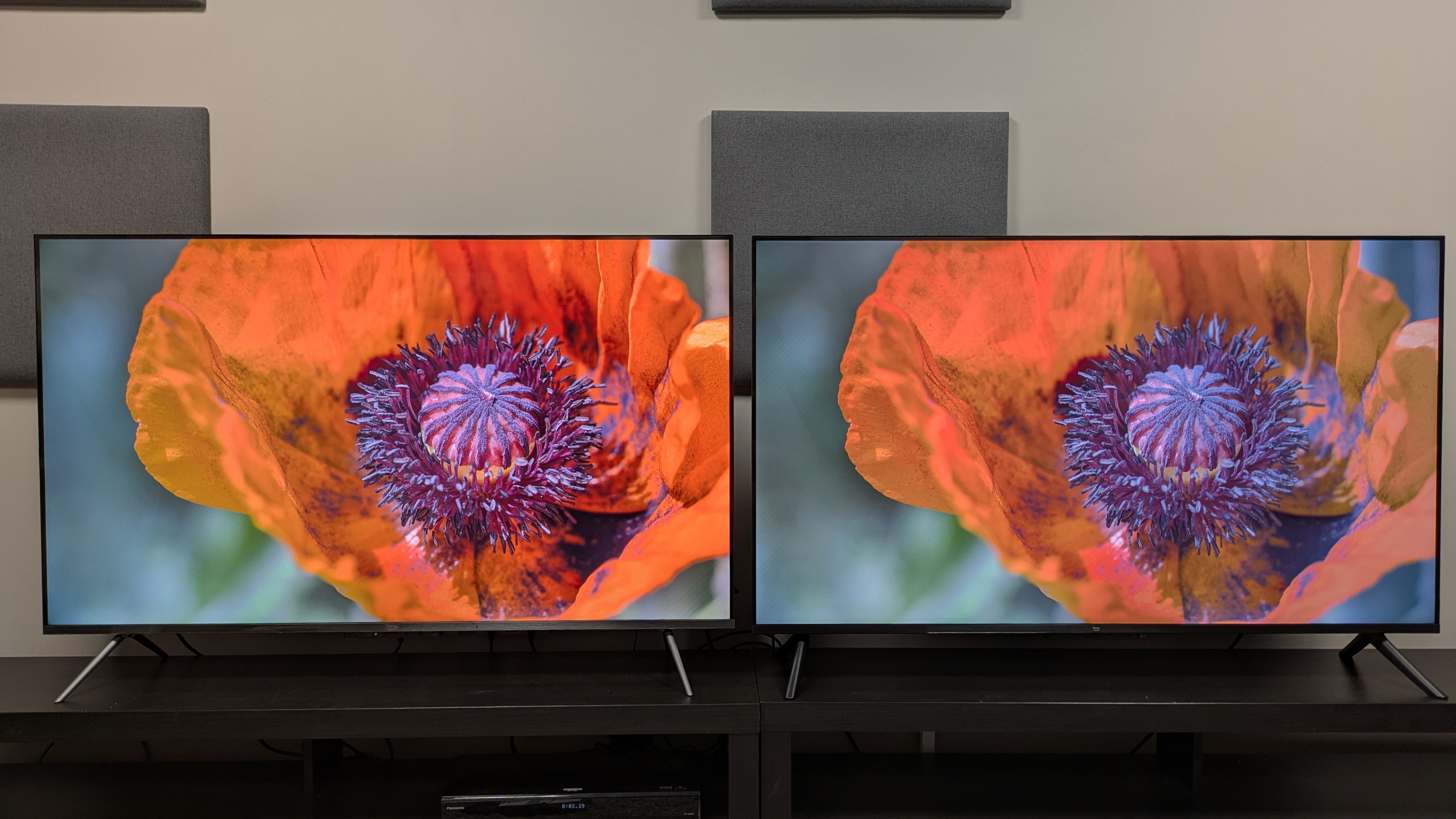 The Amazon Ember QLED (left) and Amazon Ember 4-series (right) showing an orange flower on screen. The flower looks punchier and brighter on the Ember QLED 