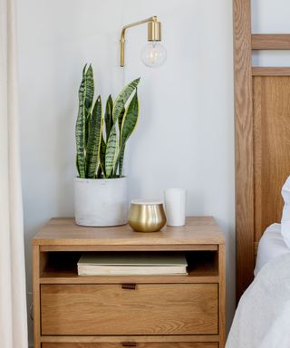 Bedside stand with houseplant and upward facing bulb wall sconce