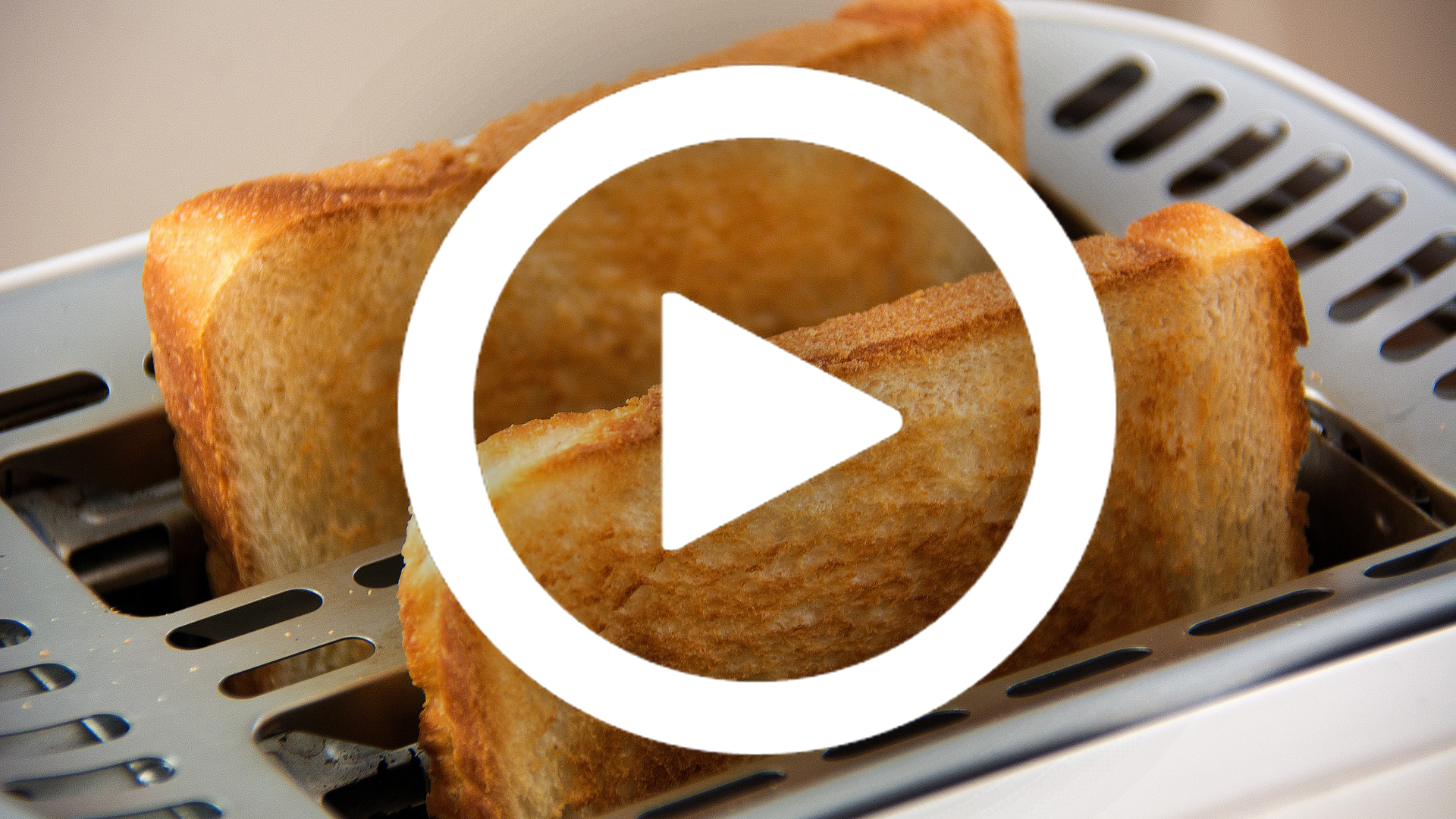 How to toast bread and bagels with the Dualit Lite Toaster 