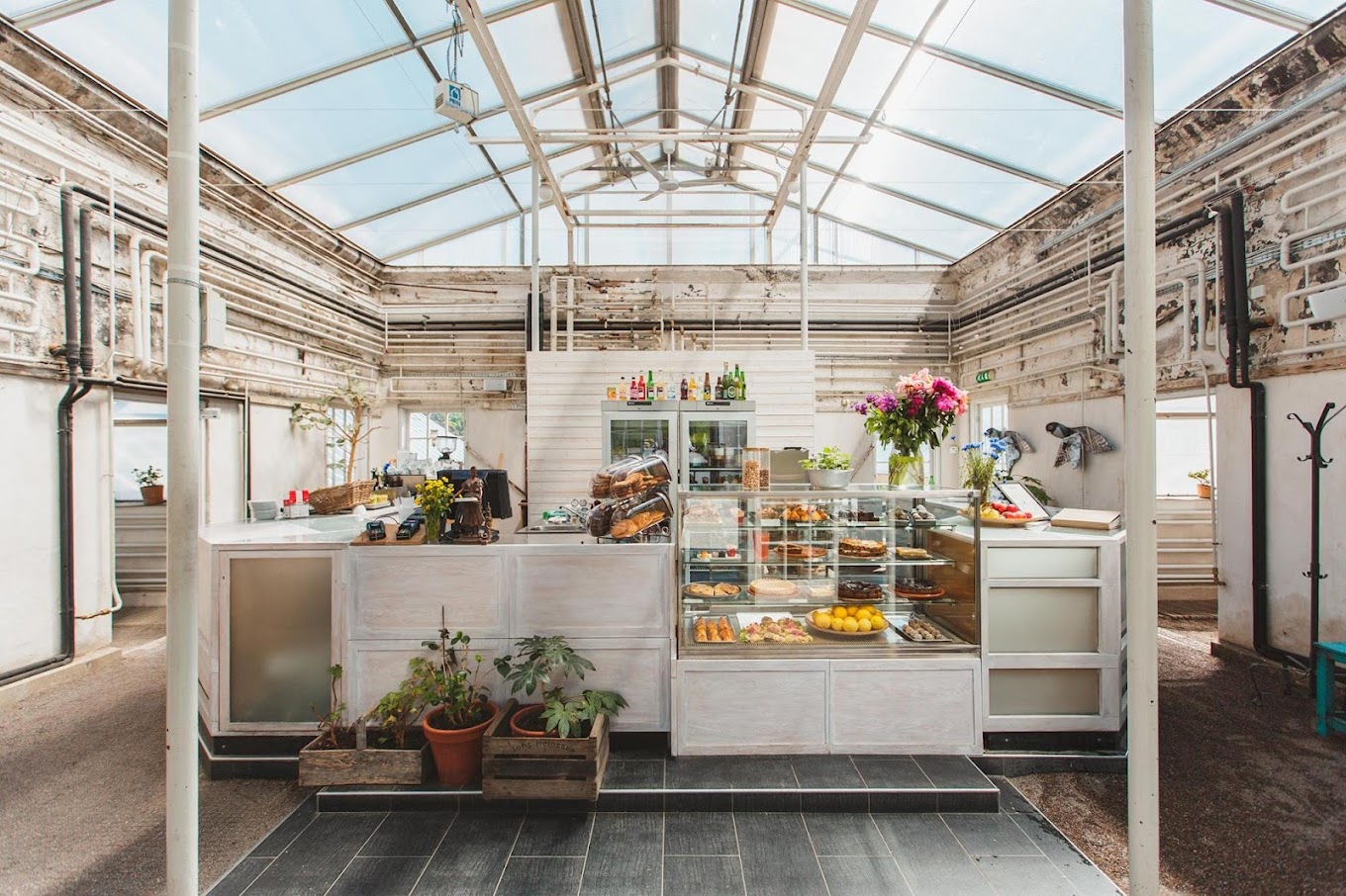 A cafe set within a greenhouse boasts a stuffed-with-baking-goods glassy counter and industrial chic decor.