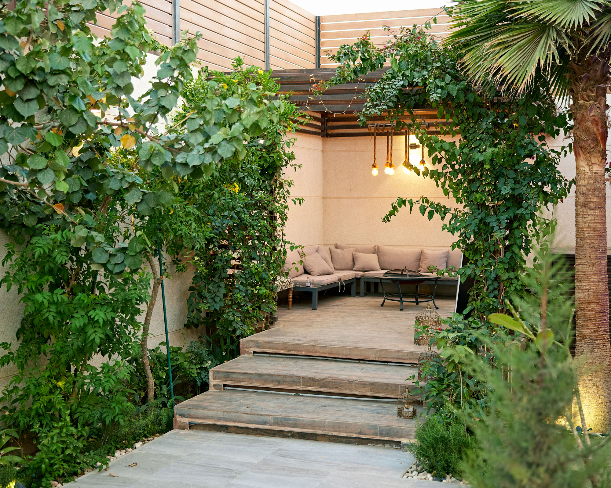 modern patio design with pergola and lighting, with steps leading up to it and planting