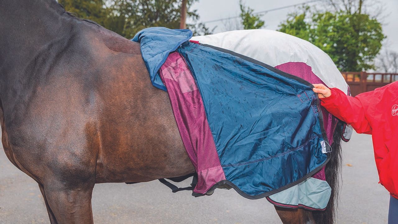 Horseware Rambo Summer Series&nbsp;review