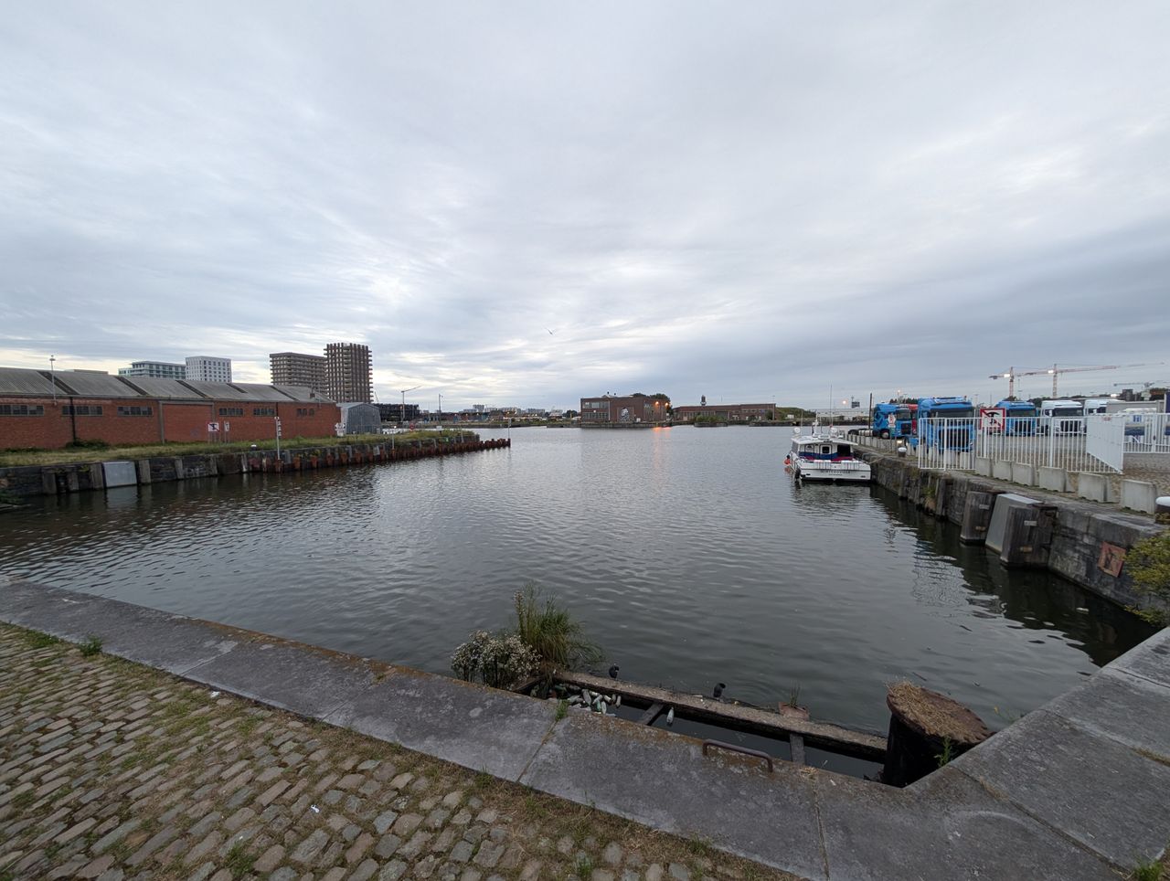 Google Pixel 9 Pro cameravoorbeeld