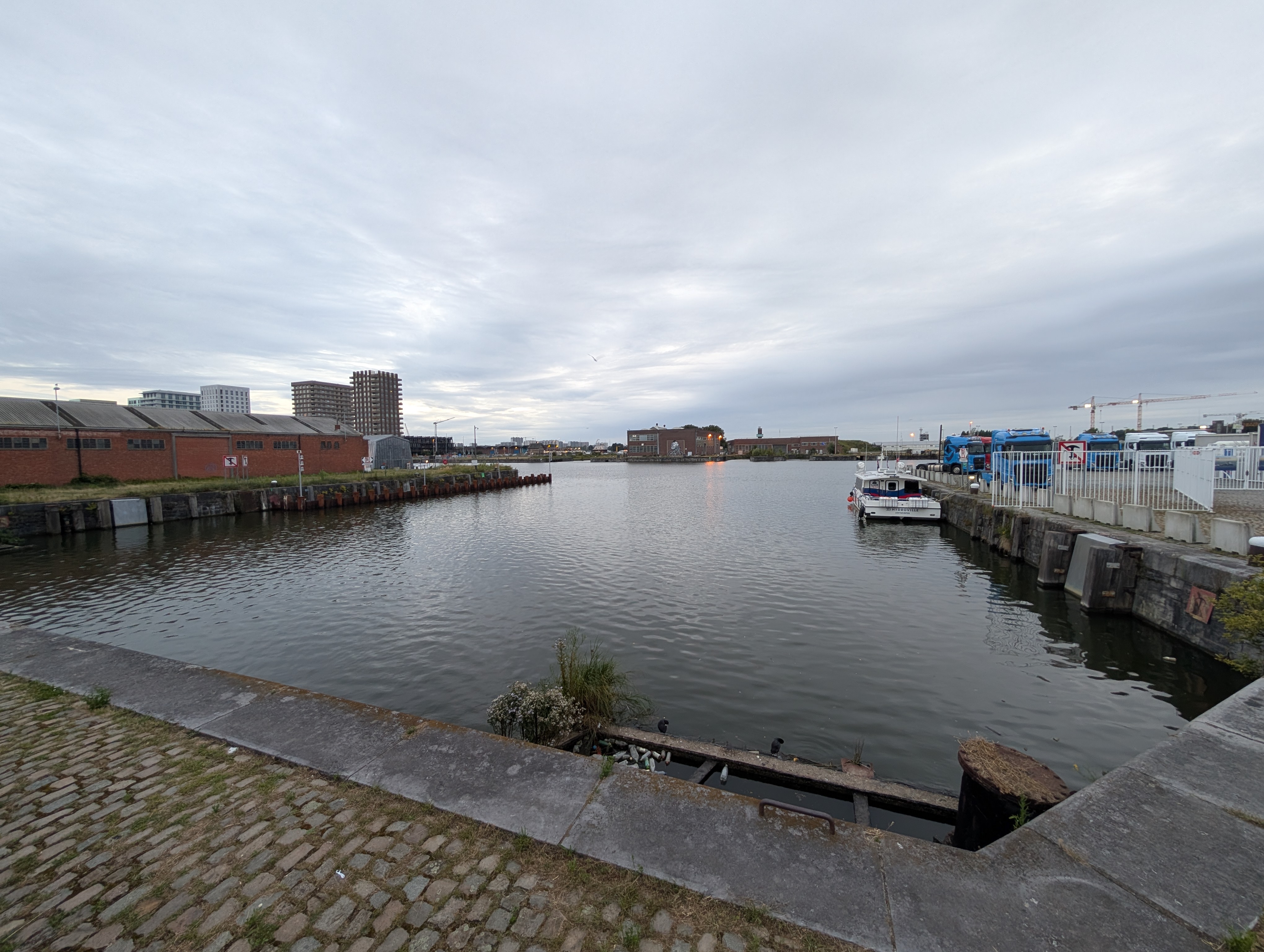 Google Pixel 9 Pro cameravoorbeeld