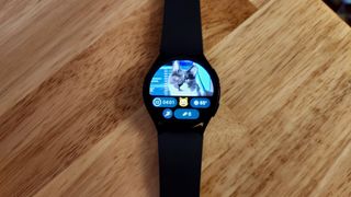 A custom watch face showing the author's cat above custom Complications on the Samsung Galaxy Watch 6