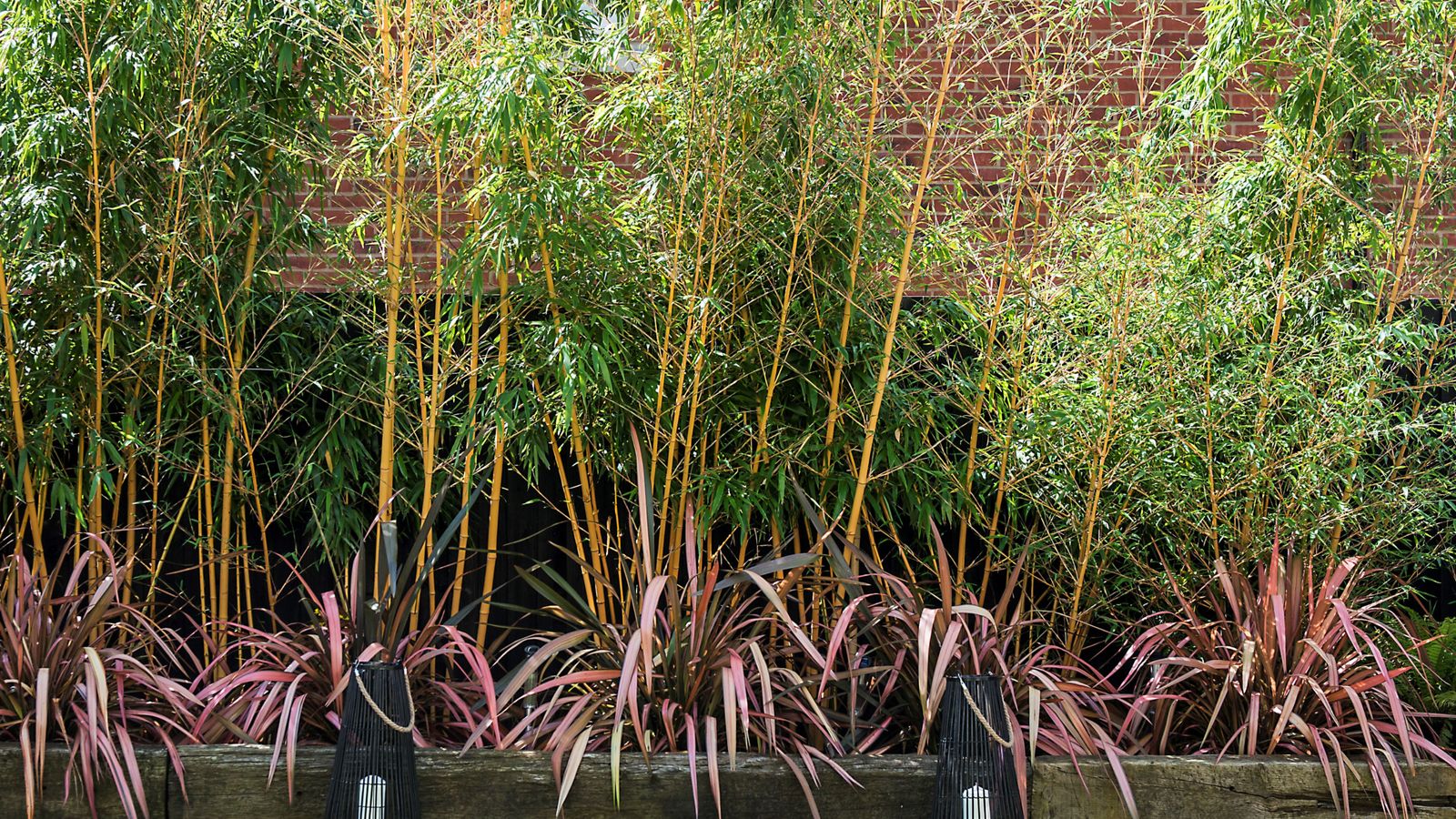 How to stop bamboo from spreading we asked the experts Ideal Home