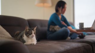 Woman and cat sat at opposite ends of couch