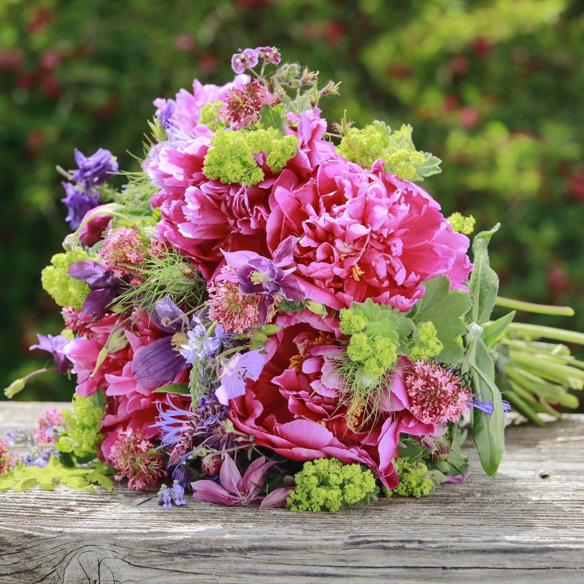 7 Cut-and-Come-Again Flowers To Grow In Your Garden | Gardening Know How