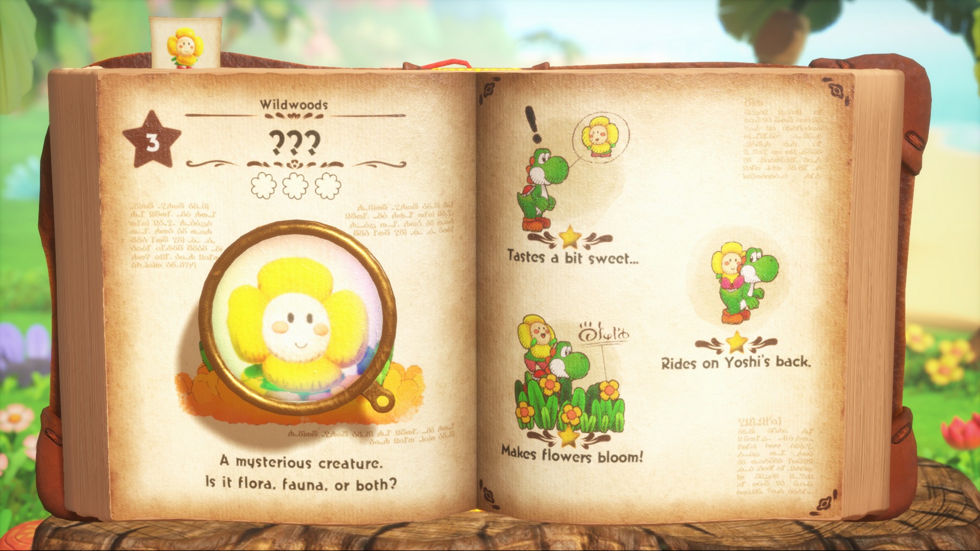 Mr E shows a yellow flower with question marks as its entry in Yoshi and the Mysterious Book