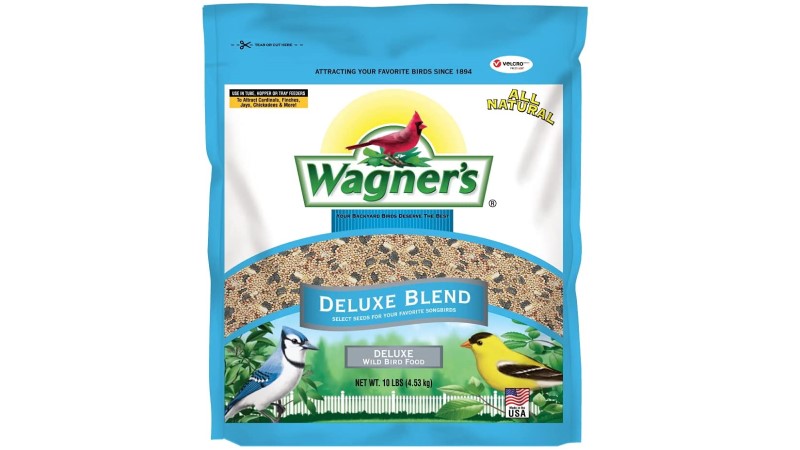 bird seed