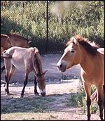 44865B57-9393-4A48-89F9-CB56FEEF8B61.jpg