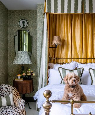 Yellow and green striped bed canopy around a brass bed with white bedding, green patterned wallpaper, leopard print armchair and bedside table and light and dog