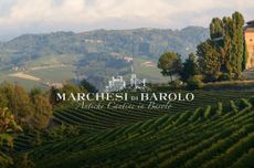 Vines and hills, with 'Marchesi di Barolo' written on it
