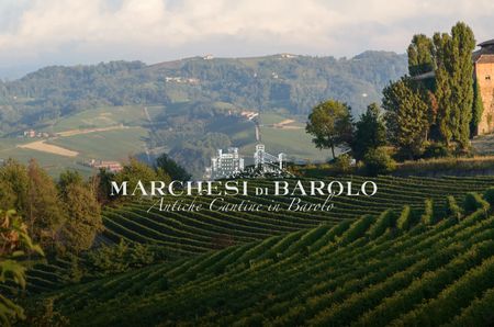 Vines and hills, with 'Marchesi di Barolo' written on it