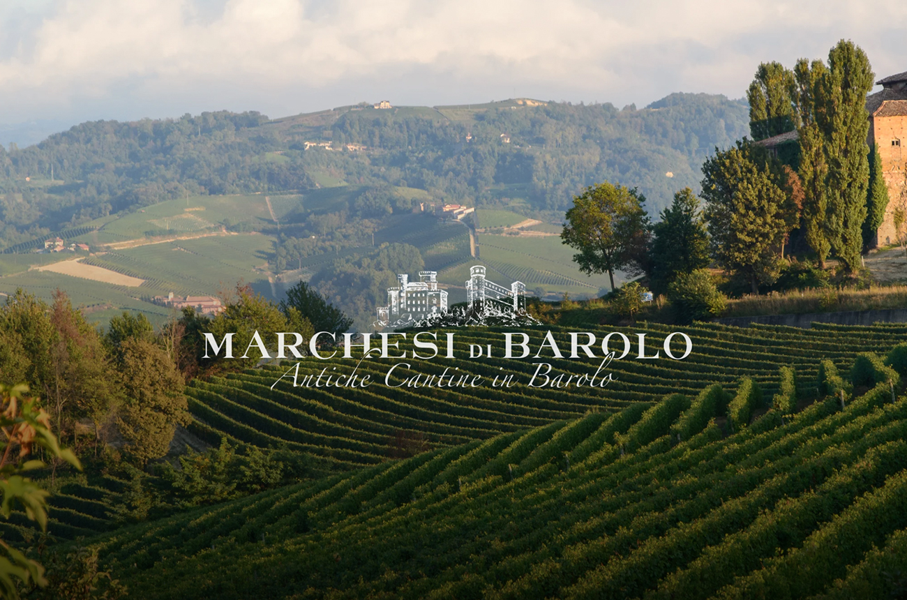 Vines and hills, with 'Marchesi di Barolo' written on it