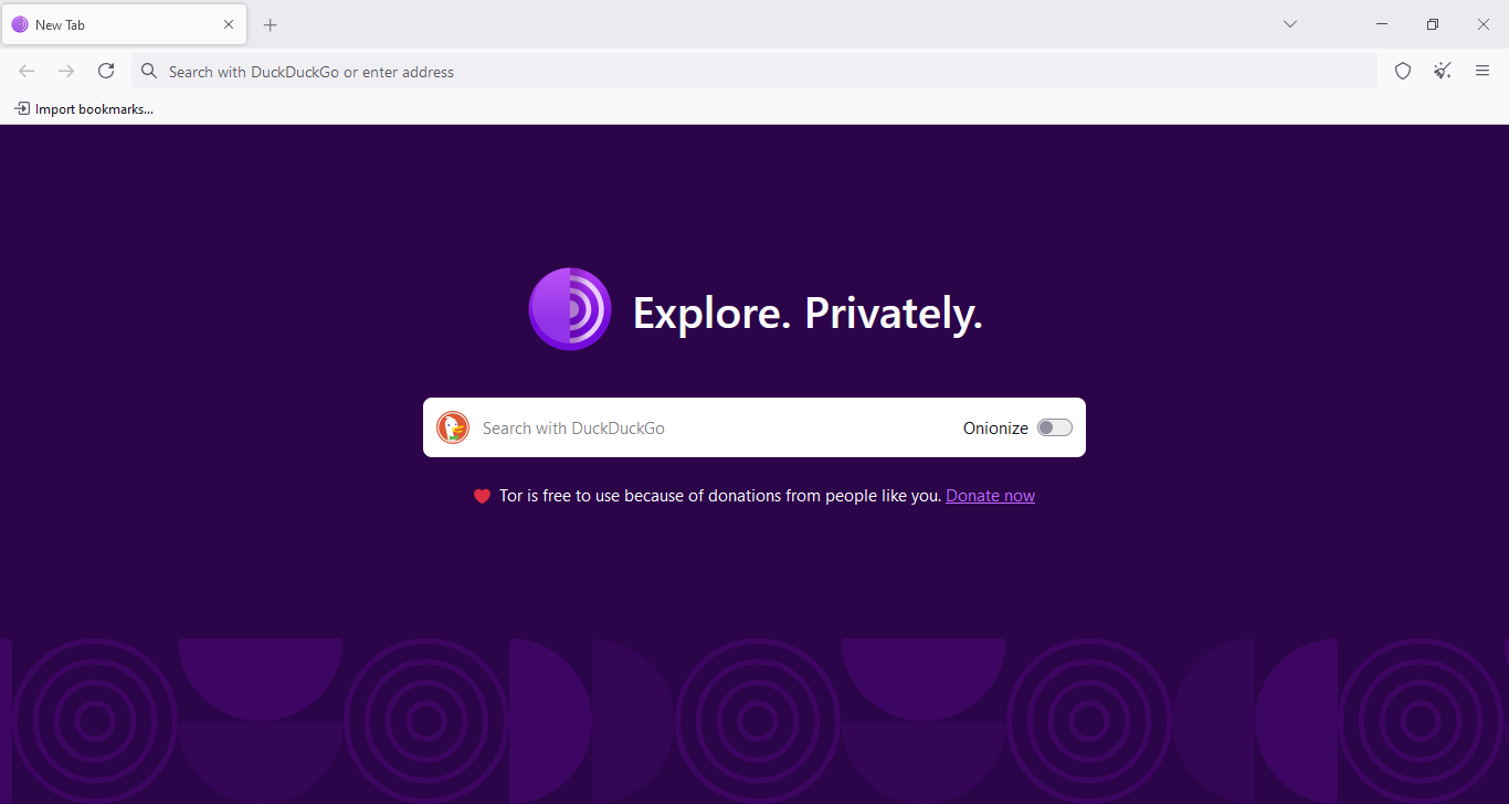 Tor browser review