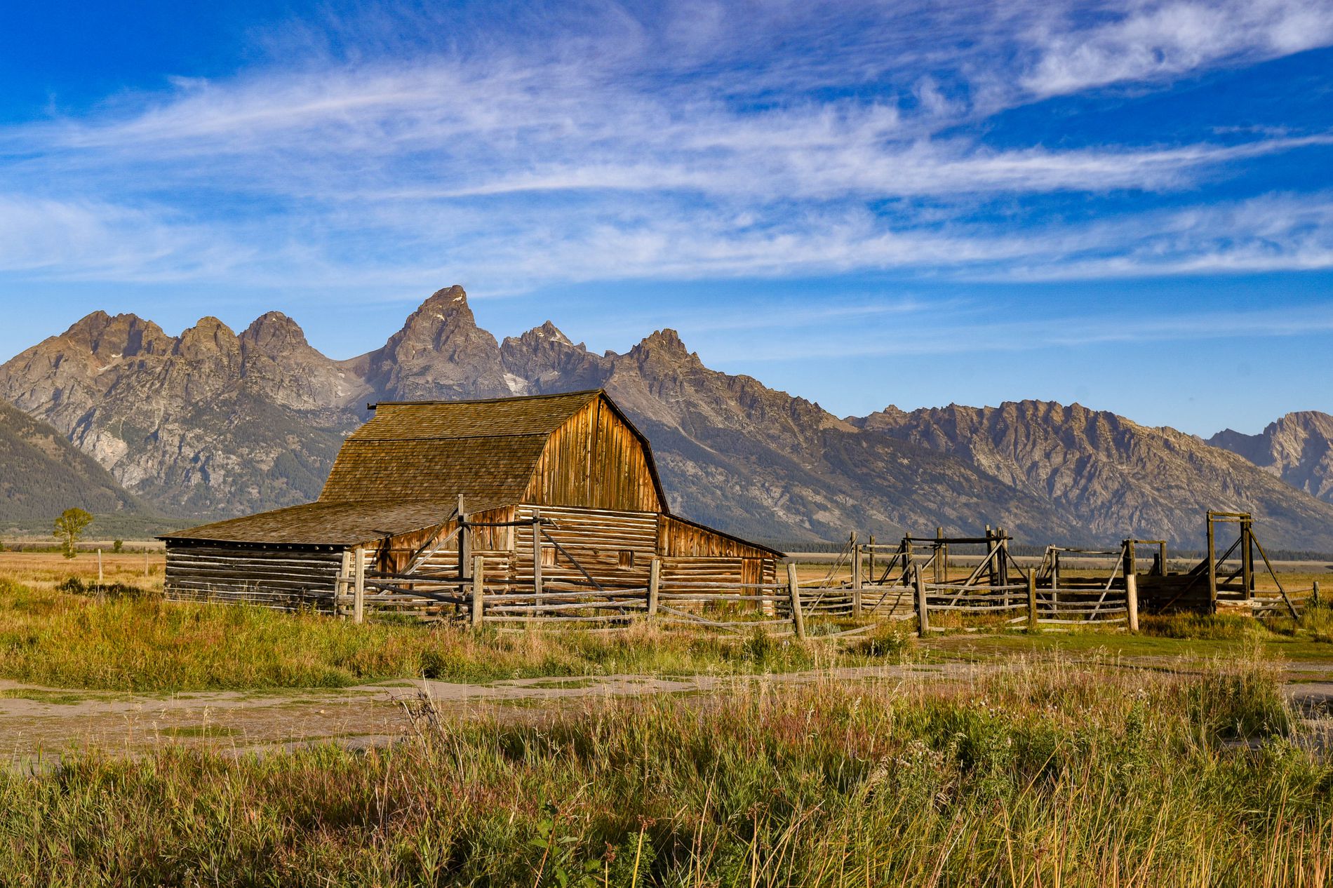 GuruShots - March 2026