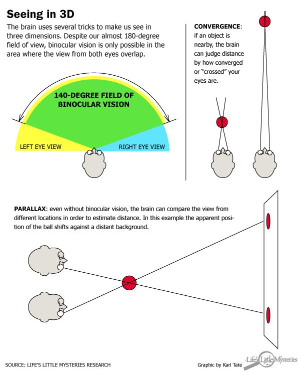 why-do-we-see-in-3d-live-science