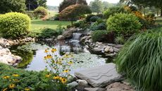 Pond garden with flowers and grass beyond