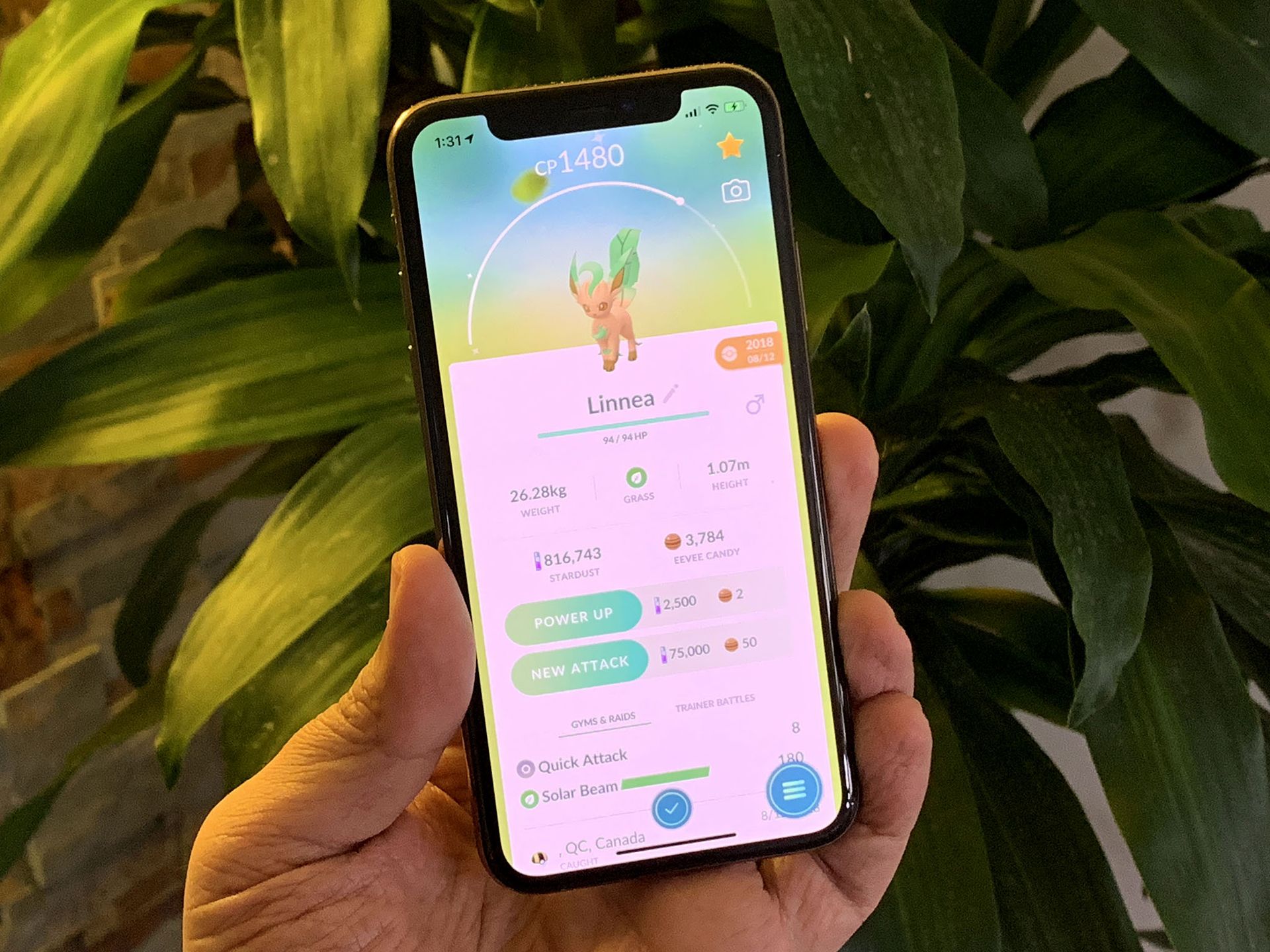 Pokémon Go: How to get Leafeon, Glaceon, and all the Eevee Evolutions ...