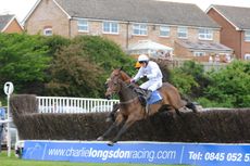 AP-McCoy-for-web.jpg