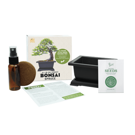 Buzzy Seeds Bonsai Spruce Grow Kit Complete With Seed Starting Supplies