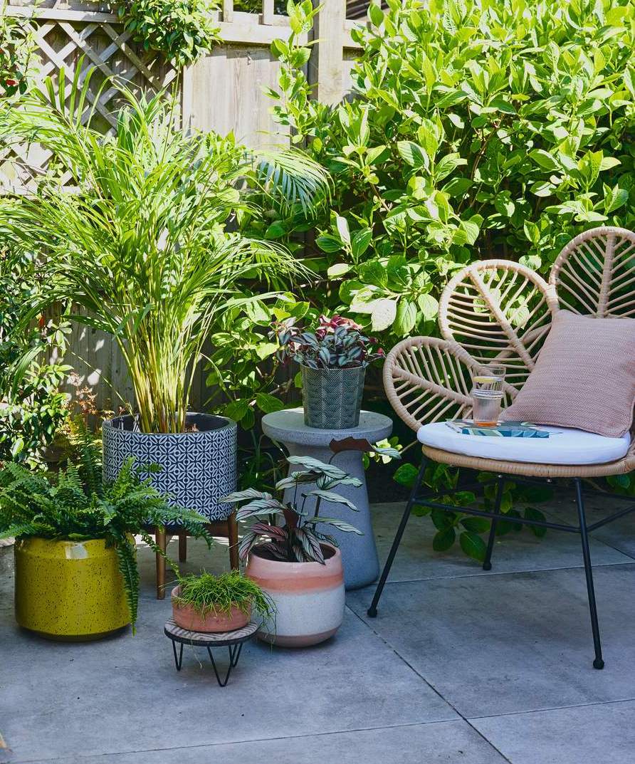 potted plants in garden beside rattan chair