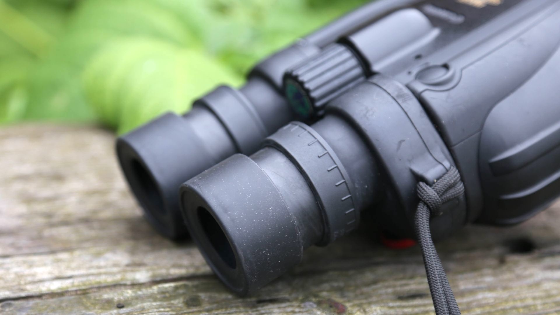 The eyepieces of a pair of binoculars