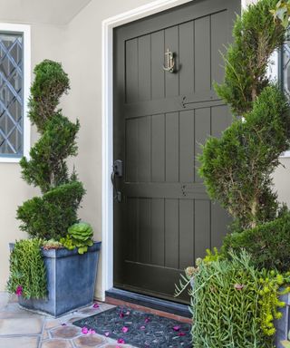 dark green front door with oversized planters