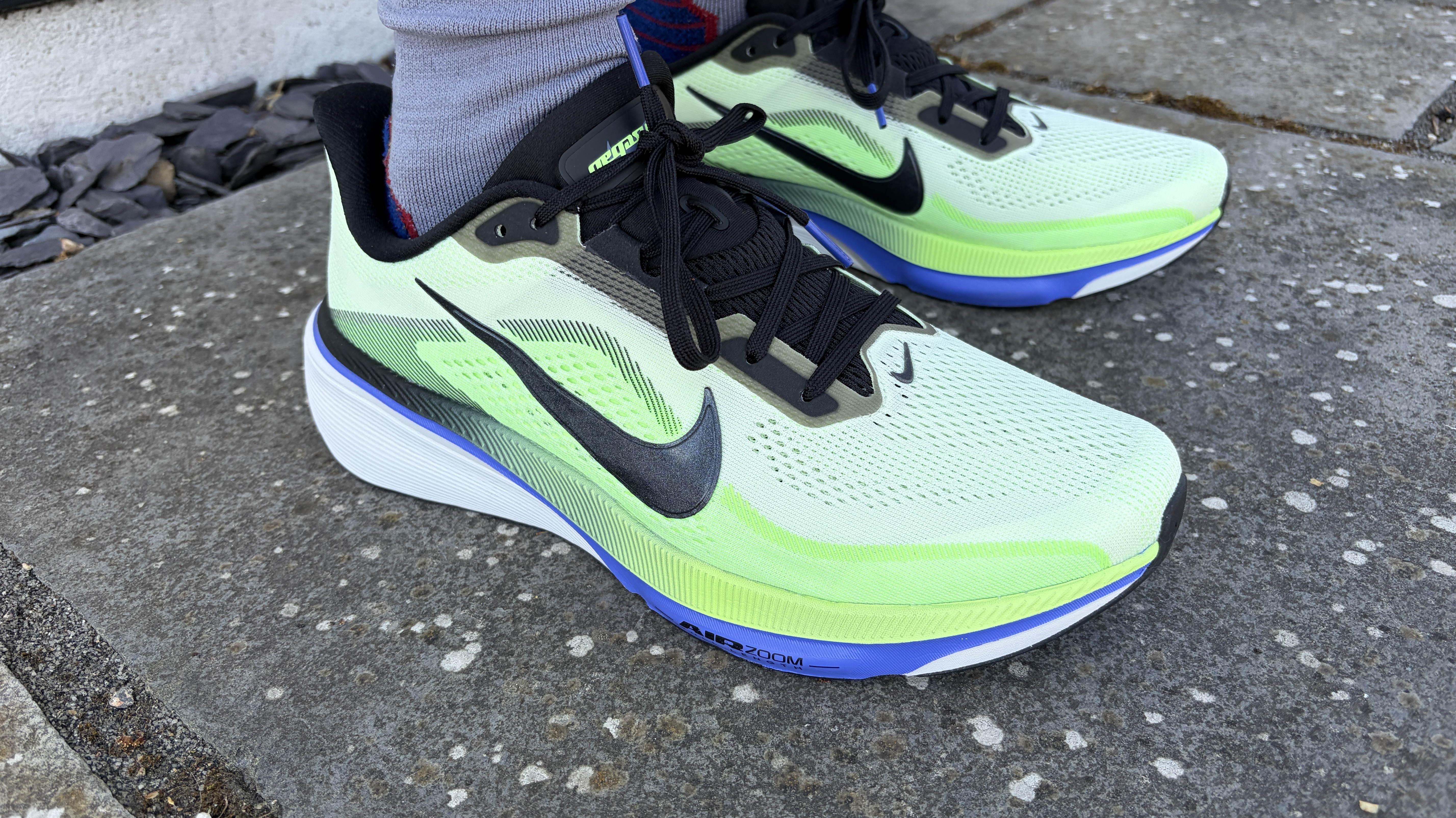 Nike Pegasus 42