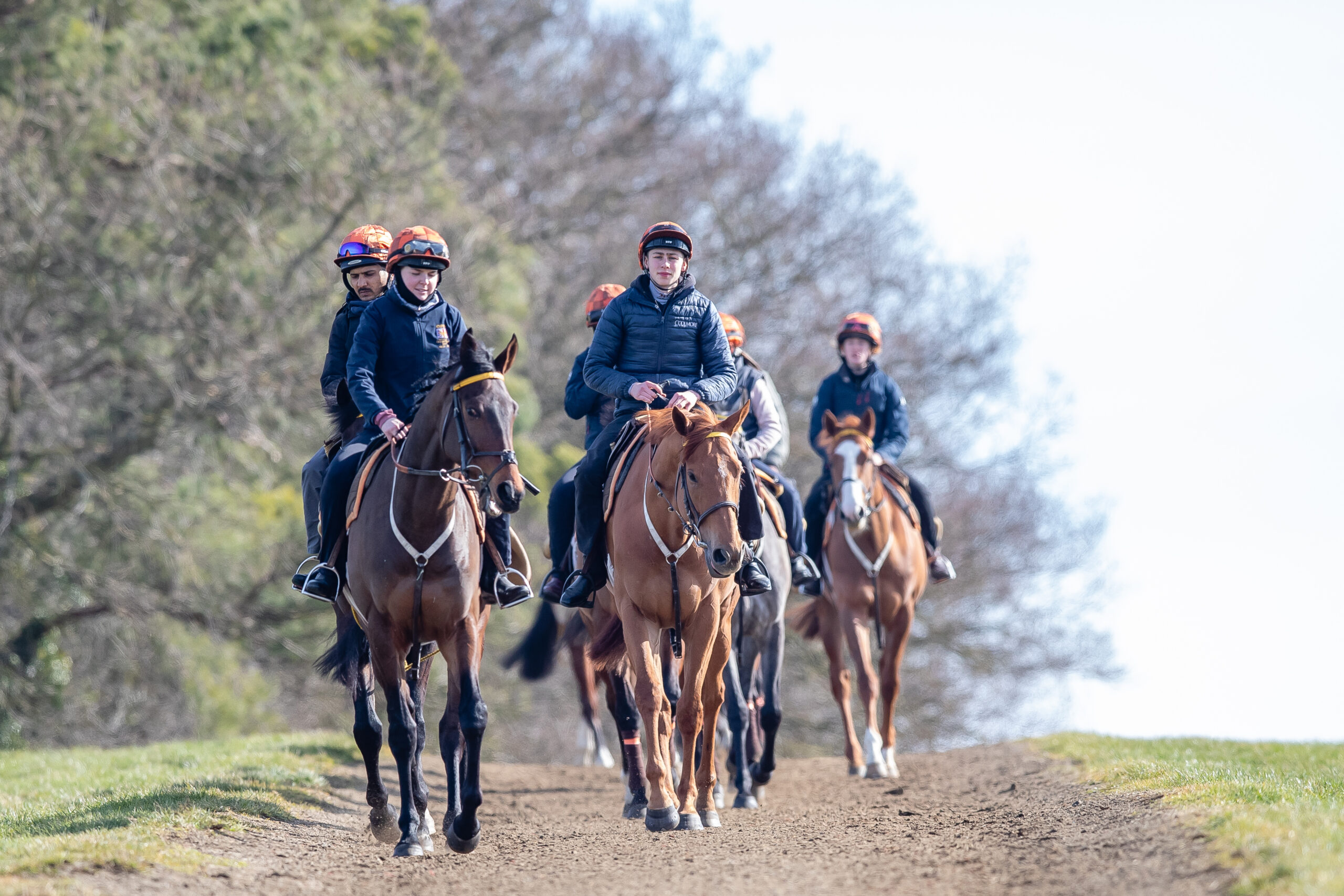 Sir Mark Prescott&amp;rsquo;s string at the summit of Warren Hill gallops in Newmarket.