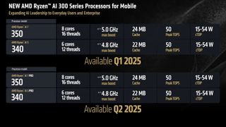 AMD Ryzen AI 300