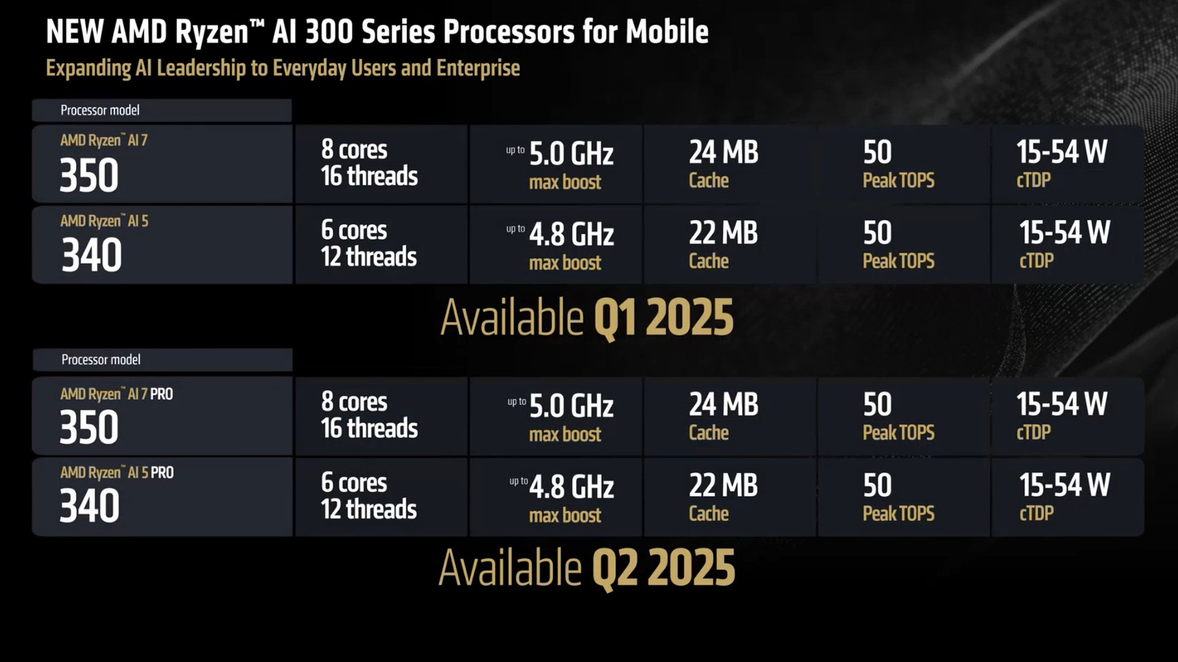 AMD Ryzen AI 300