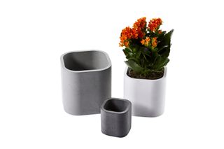 Concrete planters in greys and whites