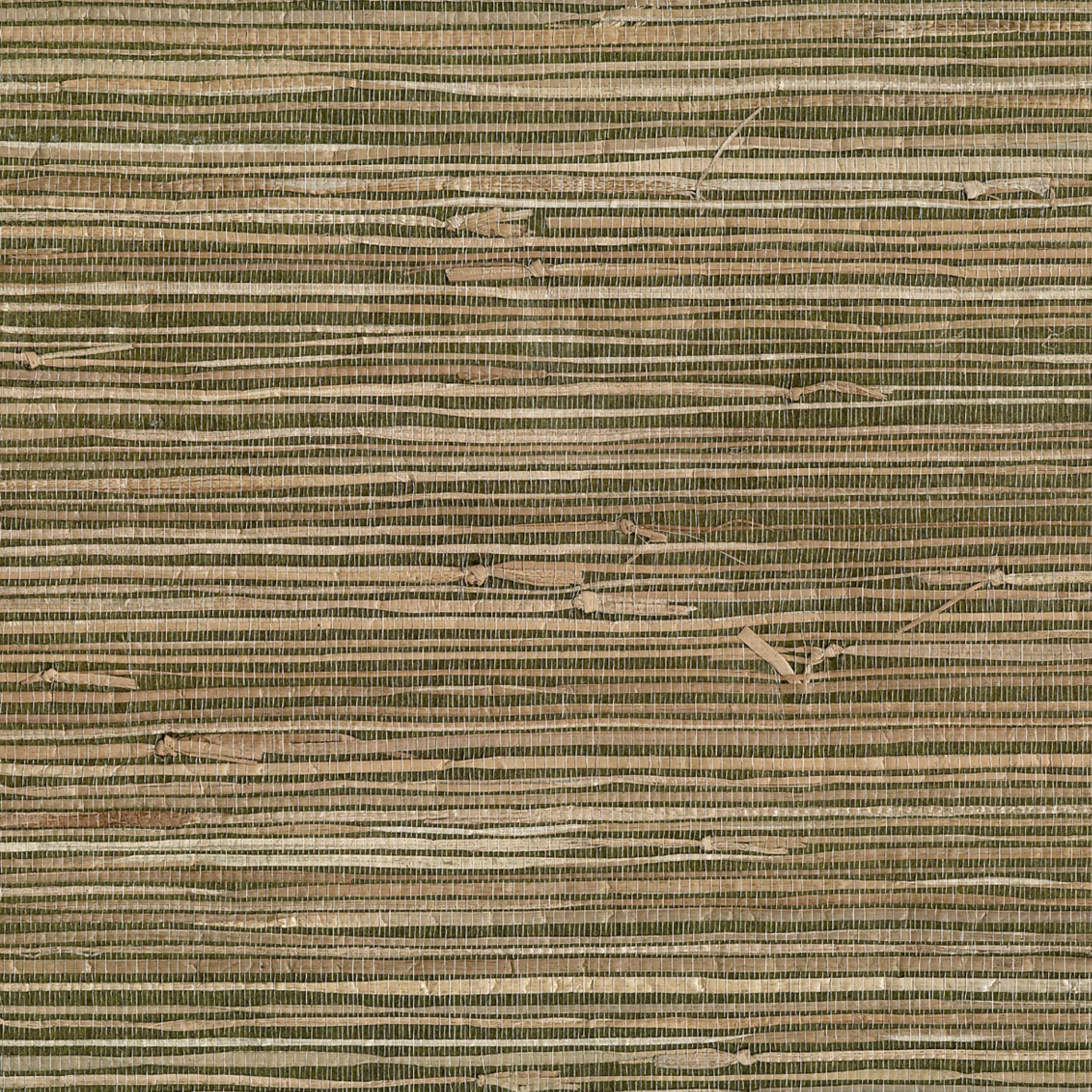 green and tan grasscloth wallpaper