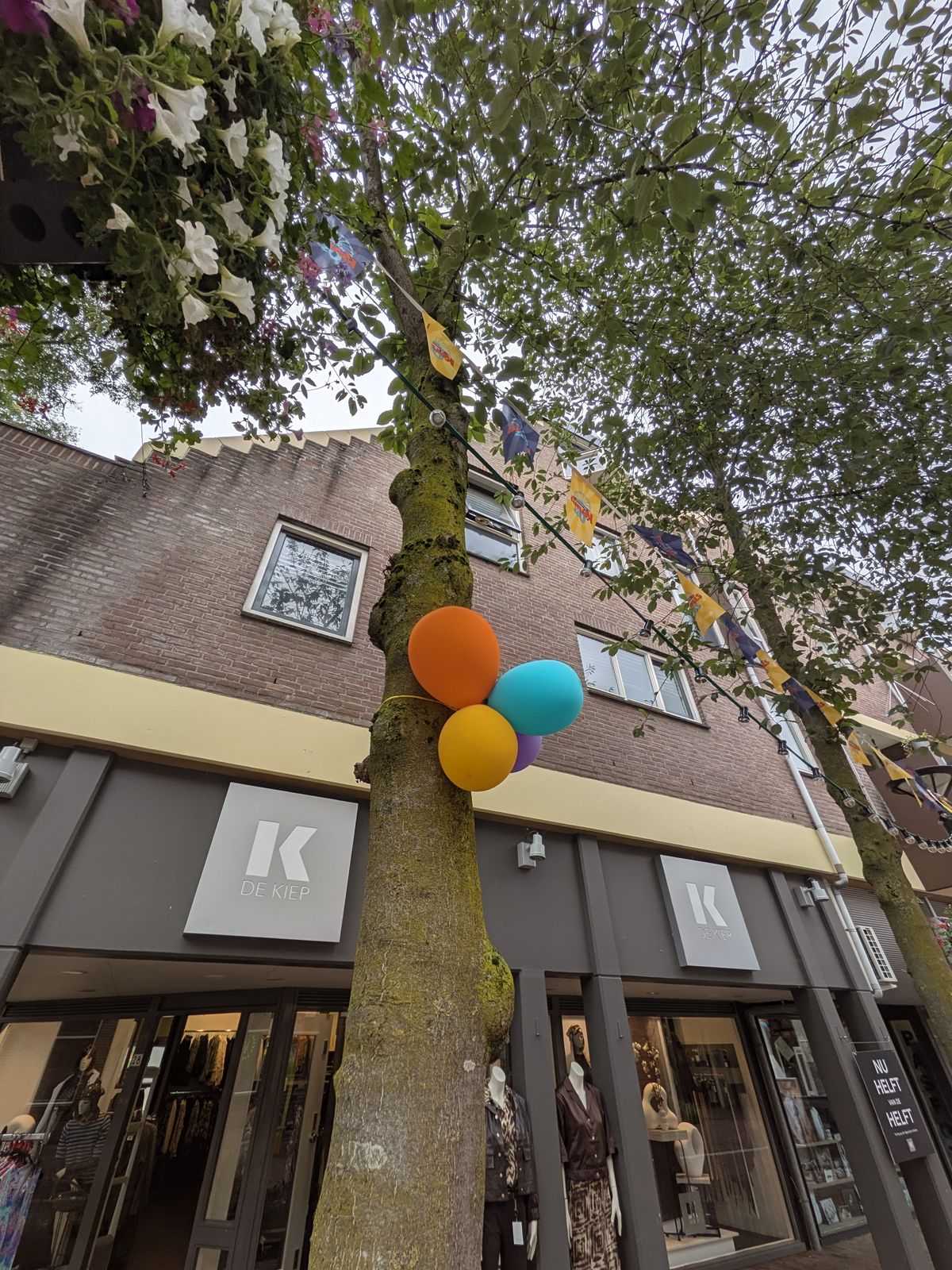 Google Pixel 11 voorbeeldfoto