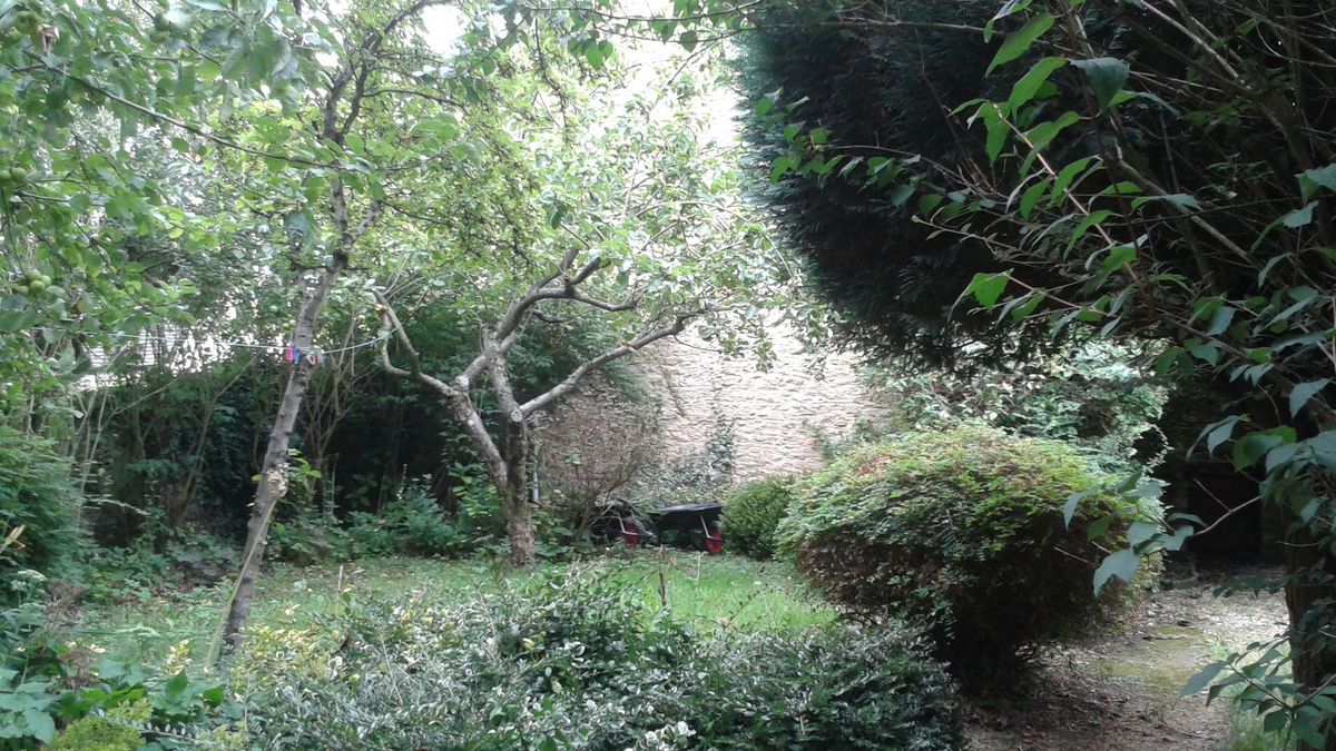messy garden